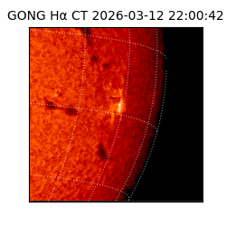 gong - 2026-03-12T22:00:42