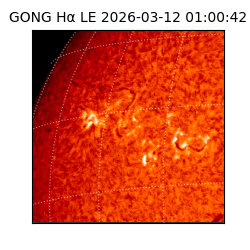 gong - 2026-03-12T01:00:42