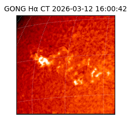 gong - 2026-03-12T16:00:42