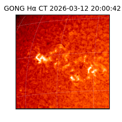 gong - 2026-03-12T20:00:42