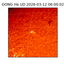 gong - 2026-03-12T06:00:02