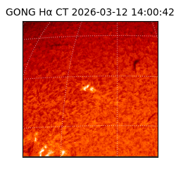 gong - 2026-03-12T14:00:42