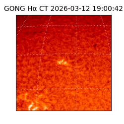 gong - 2026-03-12T19:00:42