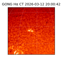 gong - 2026-03-12T20:00:42