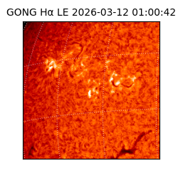 gong - 2026-03-12T01:00:42