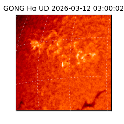 gong - 2026-03-12T03:00:02