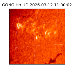 gong - 2026-03-12T11:00:02