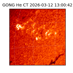 gong - 2026-03-12T13:00:42