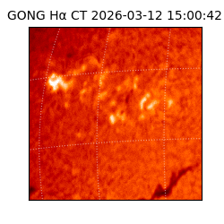 gong - 2026-03-12T15:00:42