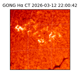 gong - 2026-03-12T22:00:42