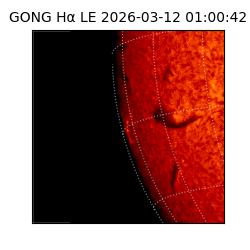 gong - 2026-03-12T01:00:42