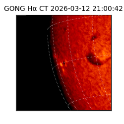gong - 2026-03-12T21:00:42