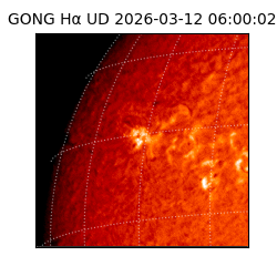 gong - 2026-03-12T06:00:02