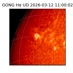 gong - 2026-03-12T11:00:02