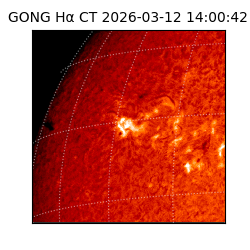 gong - 2026-03-12T14:00:42