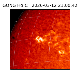 gong - 2026-03-12T21:00:42