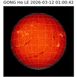 gong - 2026-03-12T01:00:42