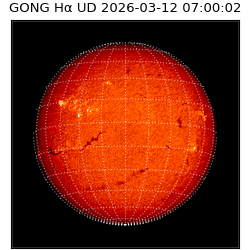 gong - 2026-03-12T07:00:02
