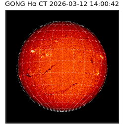 gong - 2026-03-12T14:00:42