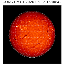 gong - 2026-03-12T15:00:42