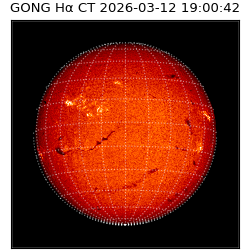 gong - 2026-03-12T19:00:42