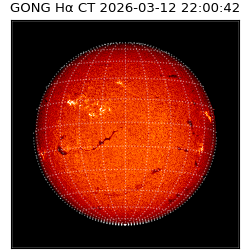 gong - 2026-03-12T22:00:42