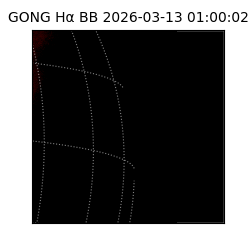 gong - 2026-03-13T01:00:02