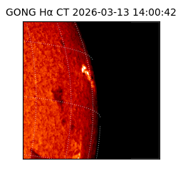 gong - 2026-03-13T14:00:42