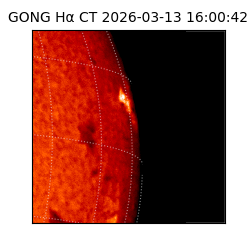 gong - 2026-03-13T16:00:42