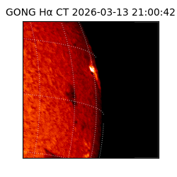 gong - 2026-03-13T21:00:42