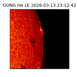 gong - 2026-03-13T23:12:42
