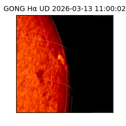 gong - 2026-03-13T11:00:02