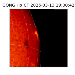 gong - 2026-03-13T19:00:42