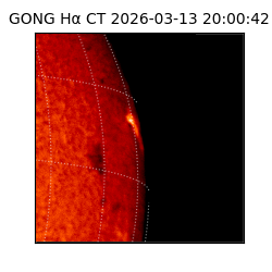 gong - 2026-03-13T20:00:42