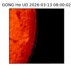 gong - 2026-03-13T08:00:02
