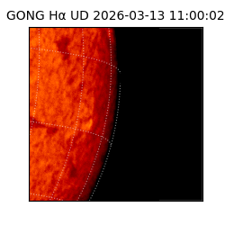 gong - 2026-03-13T11:00:02