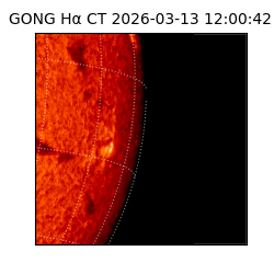 gong - 2026-03-13T12:00:42