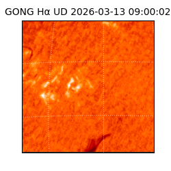 gong - 2026-03-13T09:00:02