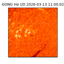 gong - 2026-03-13T11:00:02