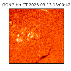 gong - 2026-03-13T13:00:42