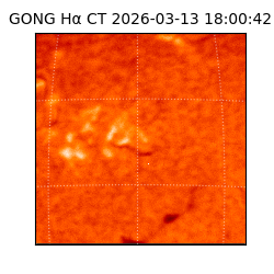 gong - 2026-03-13T18:00:42