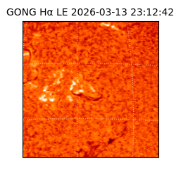 gong - 2026-03-13T23:12:42
