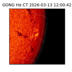 gong - 2026-03-13T12:00:42