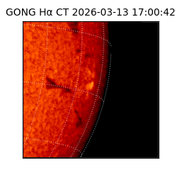 gong - 2026-03-13T17:00:42