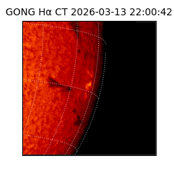 gong - 2026-03-13T22:00:42