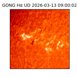 gong - 2026-03-13T09:00:02