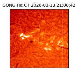 gong - 2026-03-13T21:00:42