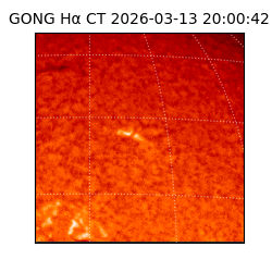 gong - 2026-03-13T20:00:42