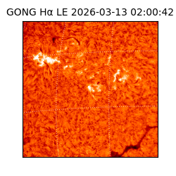 gong - 2026-03-13T02:00:42