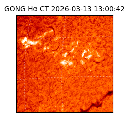 gong - 2026-03-13T13:00:42